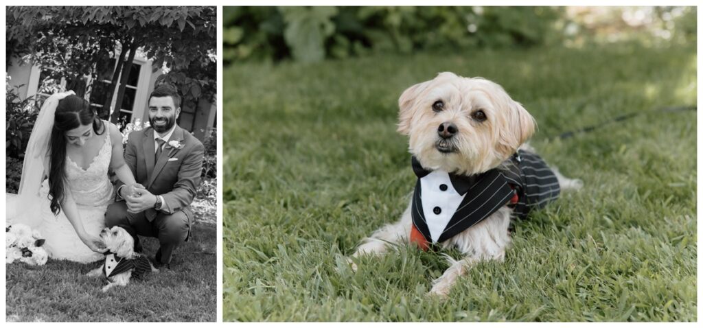 Bride and groom with their dog, dressed up for the wedding, on the lawn